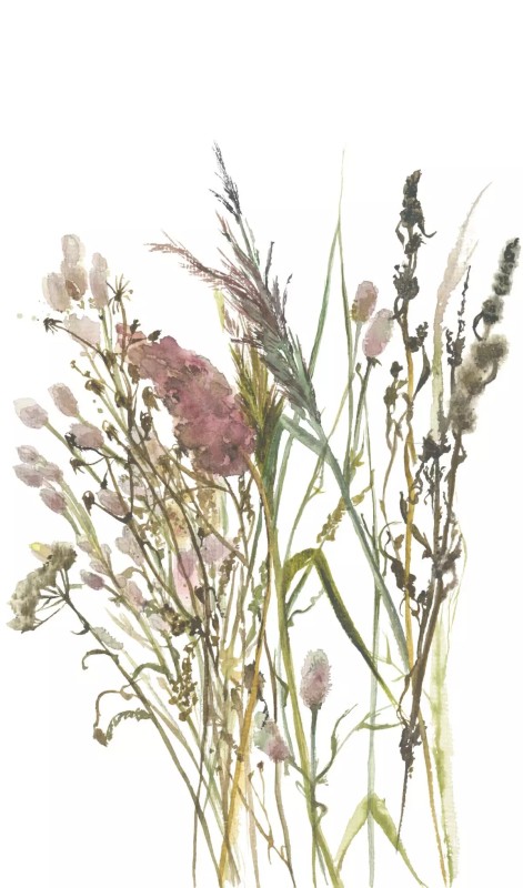 Mural TAPETA 35798 MARBURG BOHO