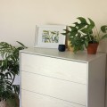 Okleina Meblowa 200-8146 D-C-FIX drewno perłowe białe szer 67,5 cm