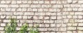 Mural tapeta 79226-8 The Wall 4