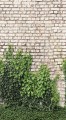Mural tapeta 79226-8 The Wall 4
