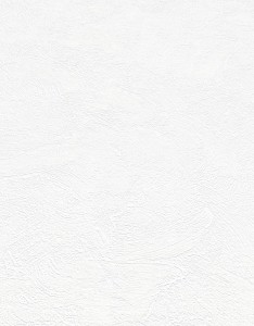 Tapeta 1133-01  ModeRolle ROLKA 15m