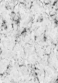 442a6928e4160fa2560b042eb70f0150