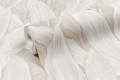 TAPETA  8809-01 Willow Sofira Decor Slav Oboi