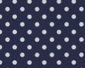 1f1cd78437082d4f7867dc43033869e6