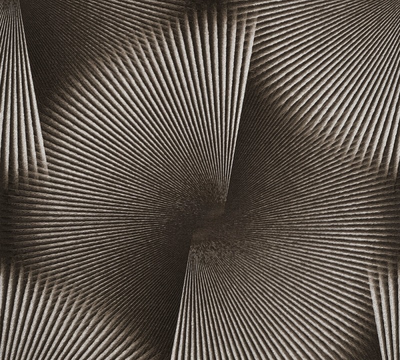 5e2727d7300af8fd5c3003dcc750c774