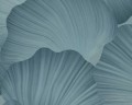 d763e46c80602f3f7cbe0bbb49366b37