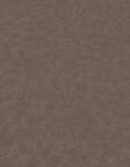 Tapeta 12272-11 Melange New Style