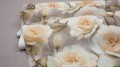 TAPETA 251409 SINTRA - ROSE