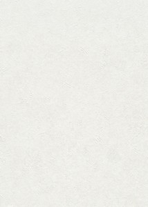 Tapeta 5555-14  / 05555-14  Erismann - LUMA Trendy
