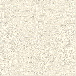 TAPETA 751321 AFRICAN QUEEN III