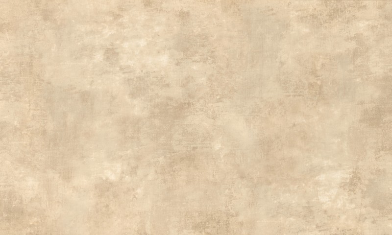 e4dbecc5d4a50a3f1b915a9cae9be4d6