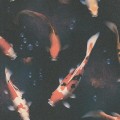 TAPETA 10500-08 Wall Stories