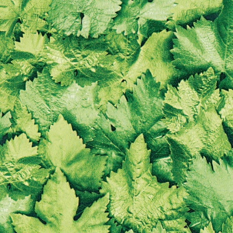 OKLEINA MEBLOWA 10195 GEKKOFIX LEAVES