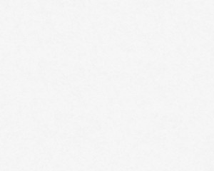 TAPETA FLIZELINA 95313-1 MEISTERVLIES