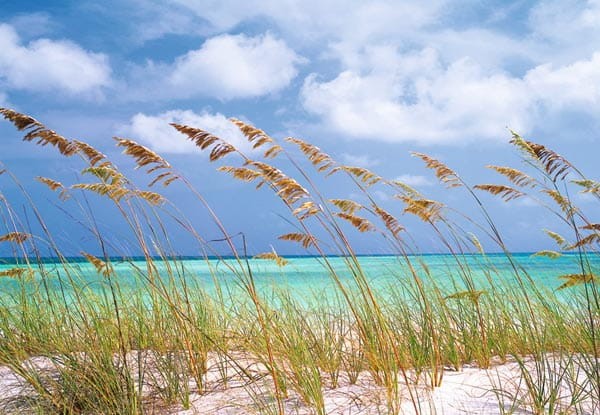 Fototapeta 8-515 Ocean Breeze  