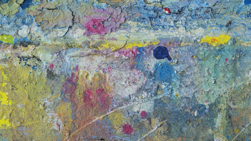 FOTOTAPETA 101126 YOUNG ARTISTS