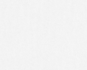 TAPETA 3059-16 MEISTERVLIES