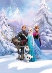 FotoTAPETA 4-498 Frozen Winter Land