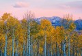 Fototapeta 5066-4V-1 Birches and Mountains