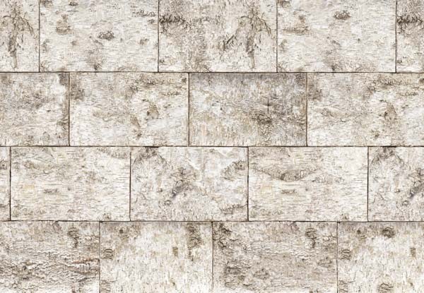 Fototapeta 8-740 Bjrk   