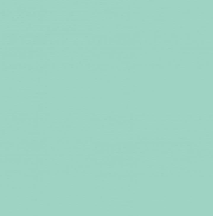 OKLEINA MEBLOWA 200-3237 D-C-FIX MINT POŁYSK