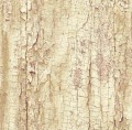 OKLEINA MEBLOWA 13774 GEKKOFIX TREE SHELL