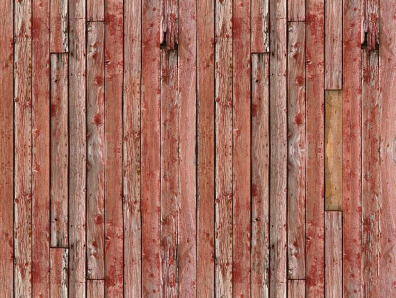 FOTOTAPETA 100372 Holzwand YOUNG ARTISTS