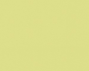 TAPETA Glatte Wand 30955-6