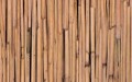 10597 OKLEINA SAMOPRZYLEPNA bambus