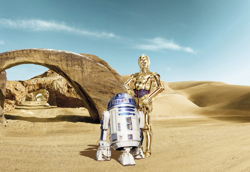 Fototapeta 8-484 STAR WARS LOST DROIDS