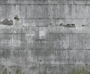 FOTOTAPETA MURAL ŚCIENNY 445510 MAGIC WALLS