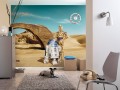 Fototapeta 8-484 STAR WARS LOST DROIDS