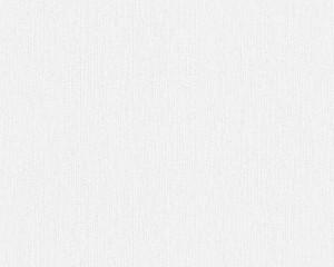 TAPETA 9635-12 MEISTERVLIES