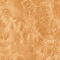 OKLEINA MEBLOWA 10091 GEKKOFIX palisander blady