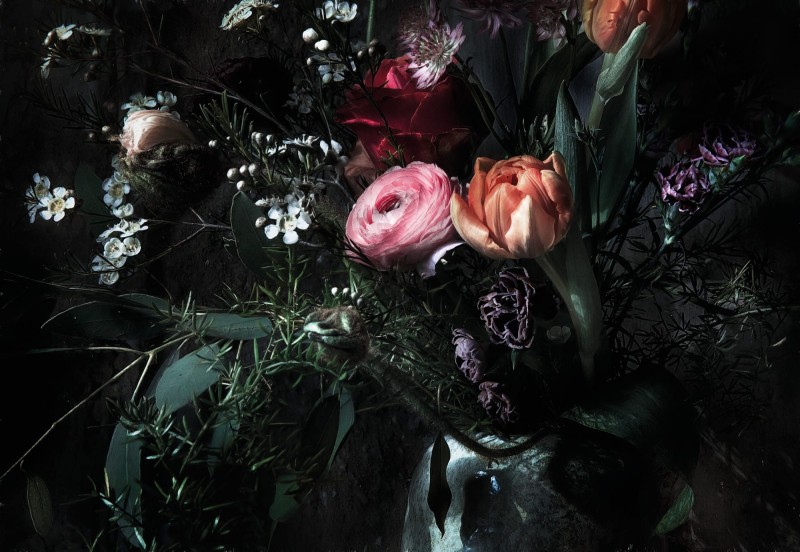 Fototapeta 8-999 Still Life