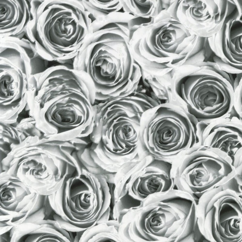 OKLEINA MEBLOWA 12856 GEKKOFIX ROSES WHITE GREY