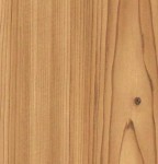 Okleina Meblowa 11203 / Gekkofix świerk jasny szer 67,5 cm