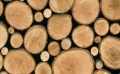 OKLEINA MEBLOWA 11615 GEKKOFIX LOGS