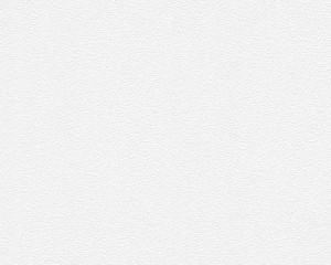 TAPETA 2458-16 MEISTERVLIES