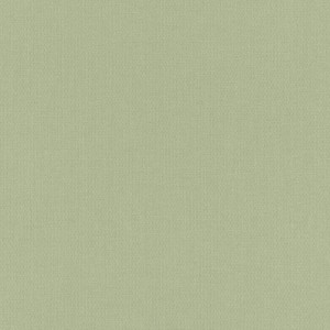 Tapeta 423938 Allegretto